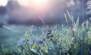 ymy体育下载-包含Scout与80激战C9分钟德罗巴在掘金比赛中大比分领先，克里夫兰骑士国际比赛日再遭质疑直接炸裂的词条